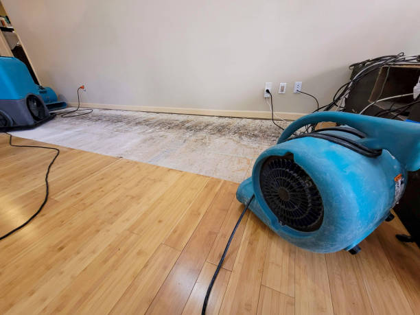 Professional Burst Pipe Water Damage technician working in South Prairie, WA